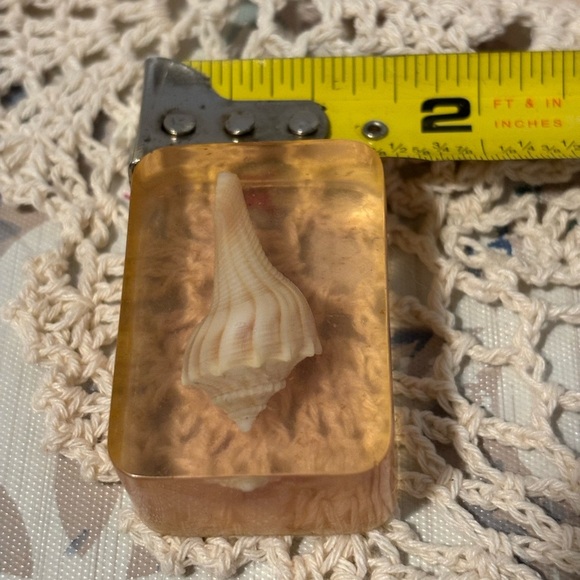 Vintage Seashells in Resin Paperweights - Picture 11 of 13